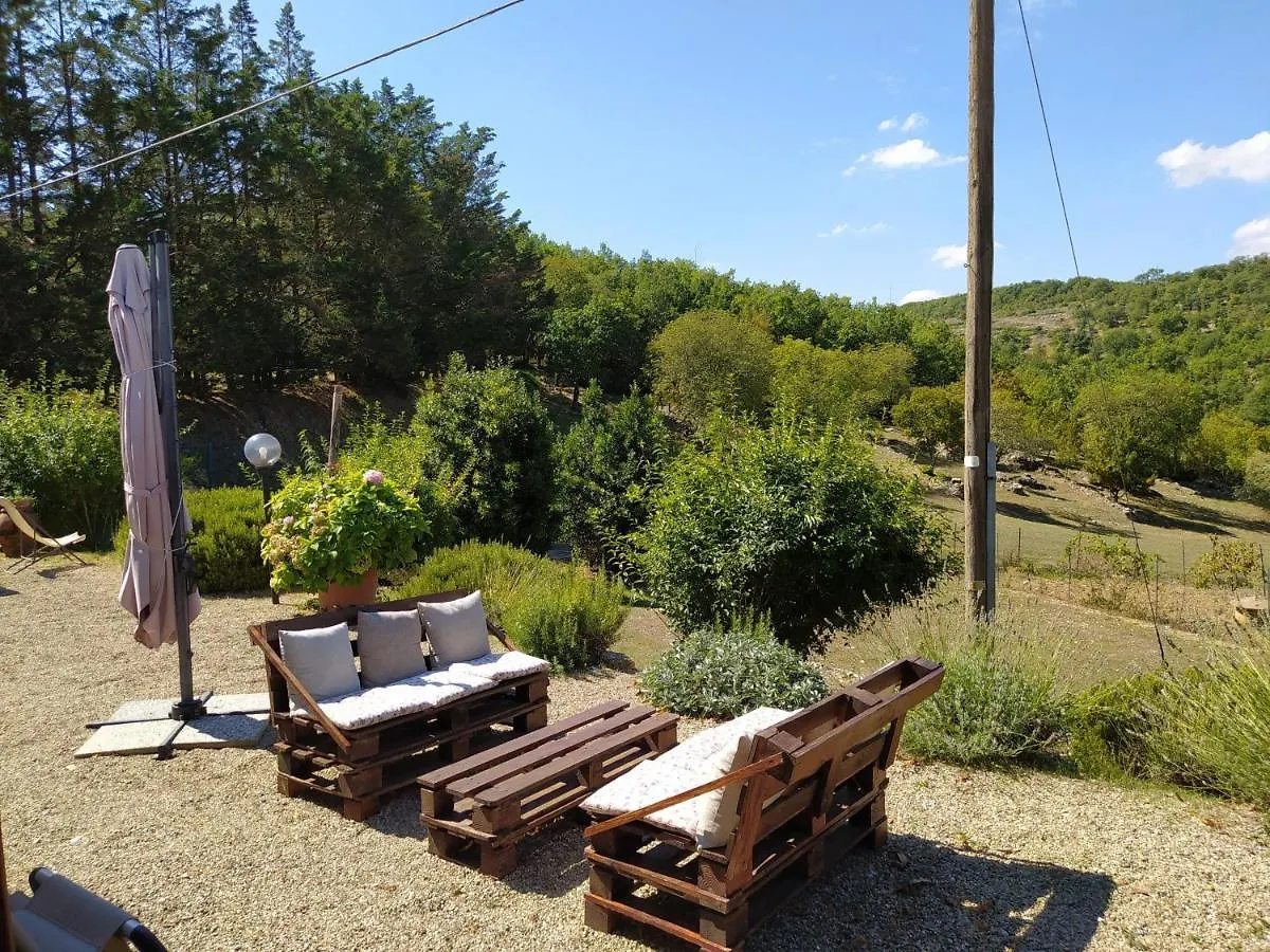 Sandra House Apartment Castellina in Chianti Italy