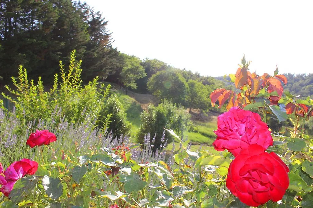 Sandra House Apartment Castellina in Chianti