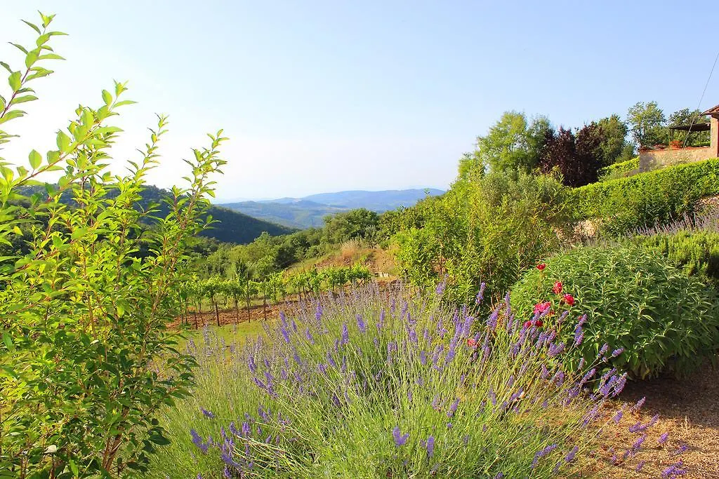 Sandra House Apartment Castellina in Chianti
